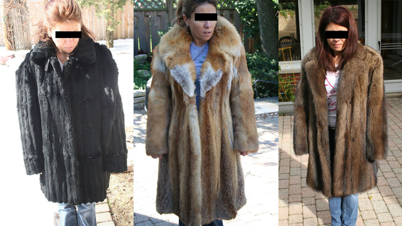 Illustration for article titled Women Modeling Fur Coats on eBay